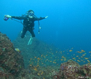 DCIM100GOPROGOPR8354.JPG
