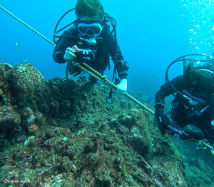 DCIM100GOPROGOPR8401.JPG