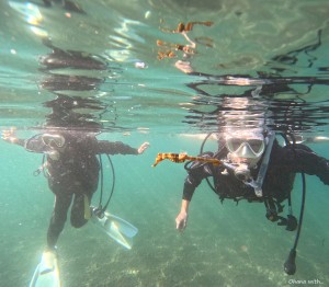 DCIM100GOPROGOPR8412.JPG