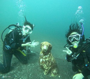 DCIM100GOPROGOPR8417.JPG