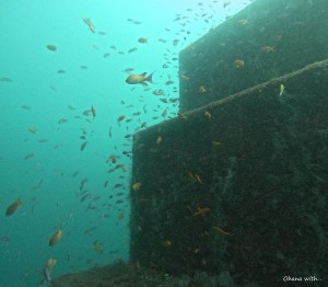 DCIM100GOPROGOPR8429.JPG
