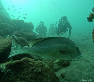 DCIM100GOPROGOPR8432.JPG
