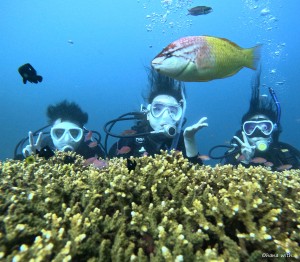 DCIM100GOPROGOPR8453.JPG