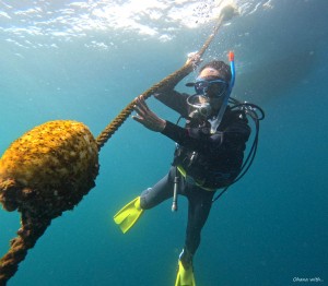 DCIM100GOPROGOPR8479.JPG