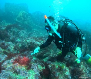 DCIM100GOPROGOPR8482.JPG