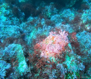 DCIM100GOPROGOPR8483.JPG