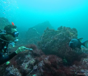 DCIM100GOPROGOPR8484.JPG