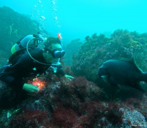 DCIM100GOPROGOPR8487.JPG