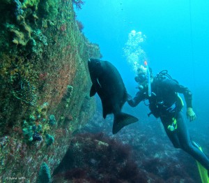 DCIM100GOPROGOPR8491.JPG