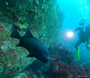 DCIM100GOPROGOPR8492.JPG
