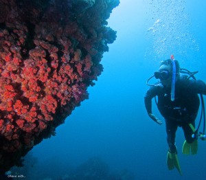 DCIM100GOPROGOPR8497.JPG