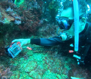 DCIM100GOPROGOPR8500.JPG