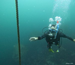 DCIM100GOPROGOPR8501.JPG