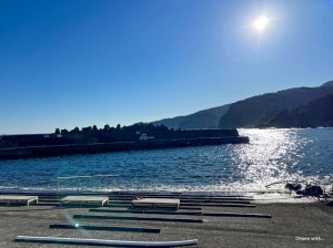 LINE_ALBUM_20231120_231120_0