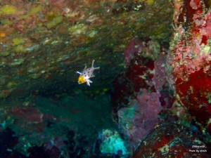LINE_ALBUM_20231120_231120_12