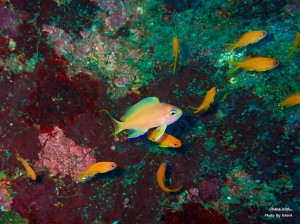 LINE_ALBUM_20231120_231120_26