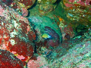 LINE_ALBUM_20231120_231120_33