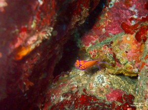 LINE_ALBUM_20231120_231120_58