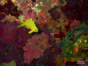 LINE_ALBUM_20231120_231120_68