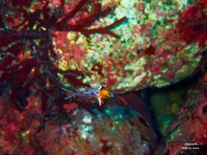 LINE_ALBUM_20231120_231120_7
