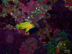 LINE_ALBUM_20231120_231120_75