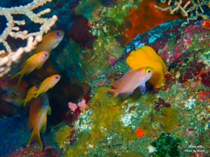 LINE_ALBUM_20231120_231120_82