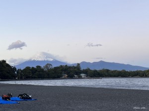 S__49872902_0