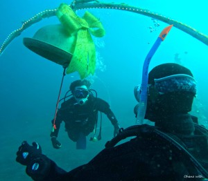DCIM100GOPROGOPR8007.JPG