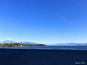 line_oa_chat_231221_153856