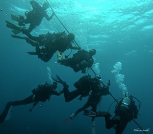 DCIM100GOPROGOPR0124.JPG