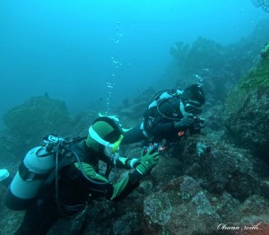 DCIM100GOPROGOPR0155.JPG