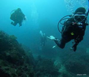 DCIM100GOPROGOPR9995.JPG