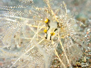 line_oa_chat_240107_193109_group_5