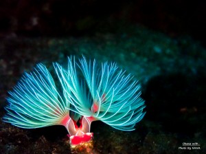 line_oa_chat_240120_172732_group_1