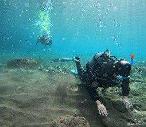 DCIM100GOPROGOPR0353.JPG