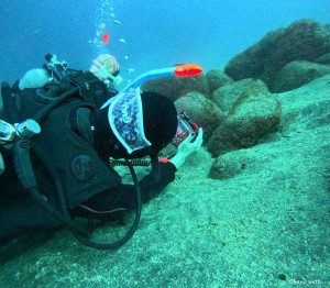 DCIM100GOPROGOPR0359.JPG