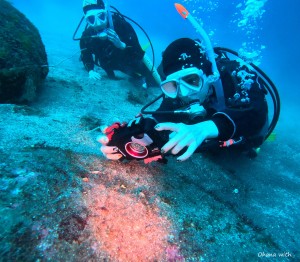 DCIM100GOPROGOPR0364.JPG