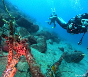 DCIM100GOPROGOPR0369.JPG