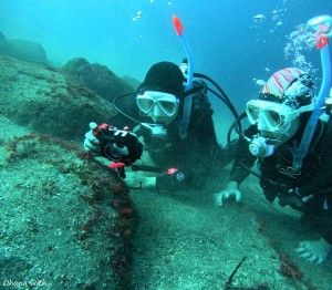 DCIM100GOPROGOPR0386.JPG