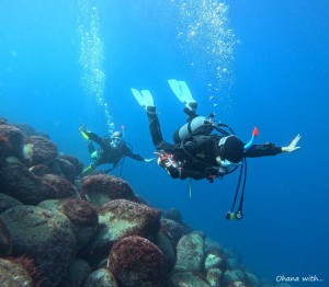 DCIM100GOPROGOPR0391.JPG