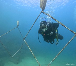 DCIM100GOPROGOPR0428.JPG
