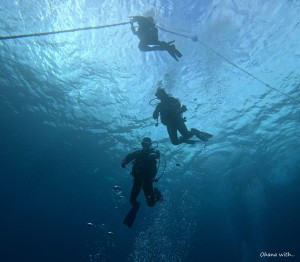 DCIM100GOPROGOPR0536.JPG