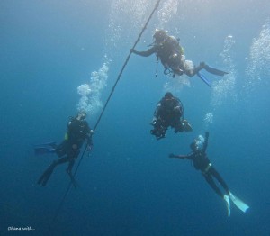 DCIM100GOPROGOPR0545.JPG
