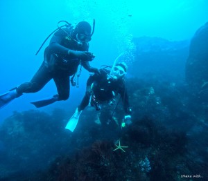 DCIM100GOPROGOPR8916.JPG