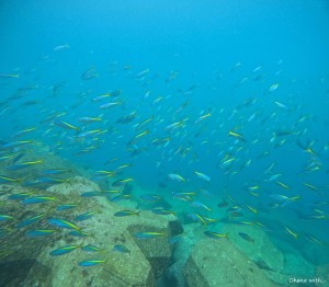 DCIM100GOPROGOPR9034.JPG