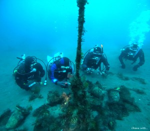 DCIM100GOPROGOPR9107.JPG