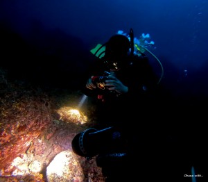 LINE_ALBUM_20240212_240212_4