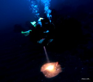 LINE_ALBUM_20240212_240212_5