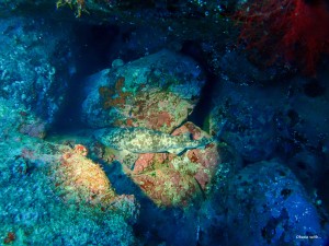 P2100040