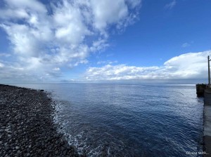 line_oa_chat_240207_171406